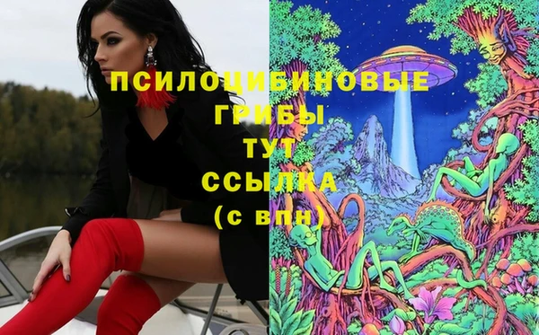 мяу мяу мука Абинск