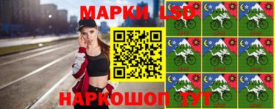 мяу мяу мука Владивосток