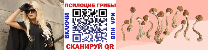 Галлюциногенные грибы мицелий Морозовск