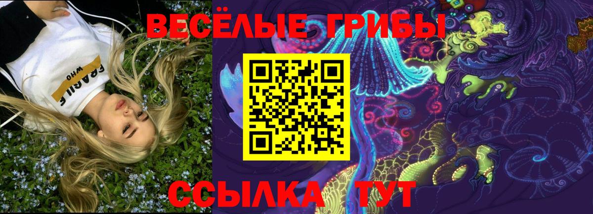 Галлюциногенные грибы прущие грибы Морозовск