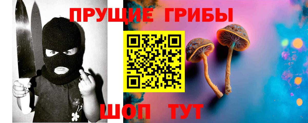 Морозовск  Псилоцибиновые грибы Psilocybine cubensis  закладка  Вход с VPN 